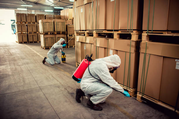Best Pest Prevention Services  in Wading River, NY