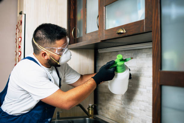 Best Cockroach Control Services  in Wading River, NY