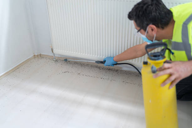 Best Rat Extermination Near Me  in Wading River, NY